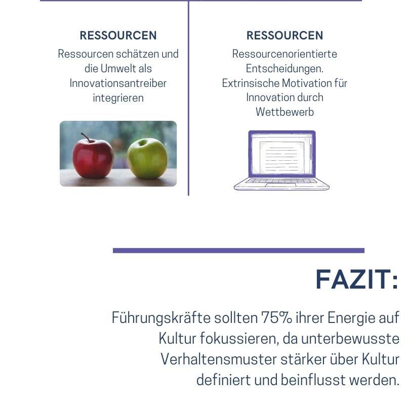 Infografik: Kulturvergleich, Fazit